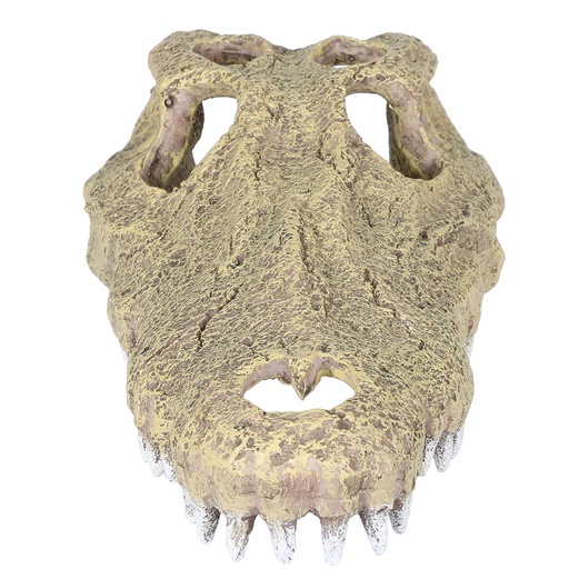 [234/443484] Aligator