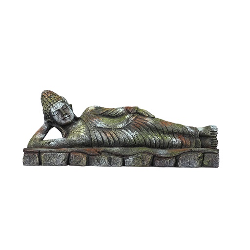 [234/444245] Vihara