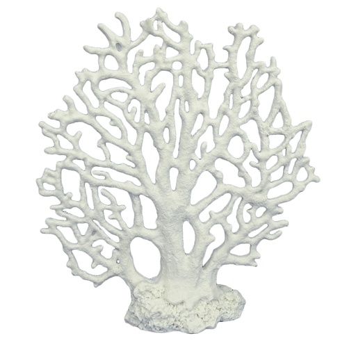 [234/446218] Octocoral