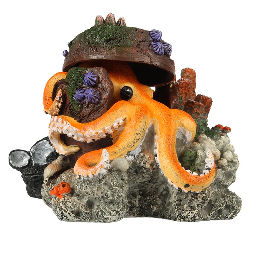 [234/448915] Verdwaalde Octopus