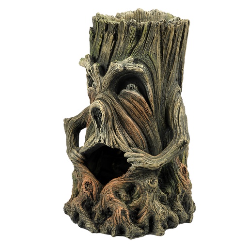 [234/463437] tree face 1