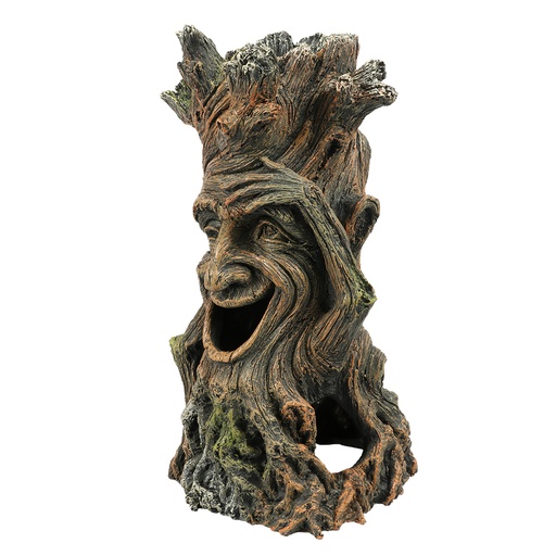 [234/463444] boom met gezicht 2