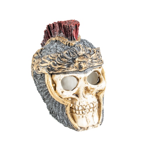 [234/463918] Skull roman s