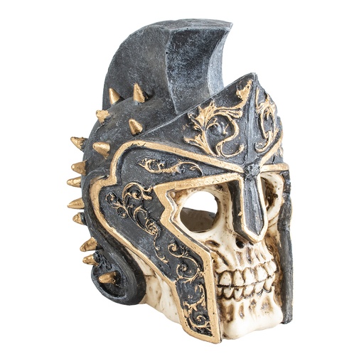 [234/463925] Skull gladiator