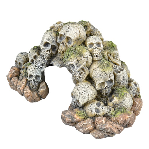 [234/465011] Doodshoofd grot
