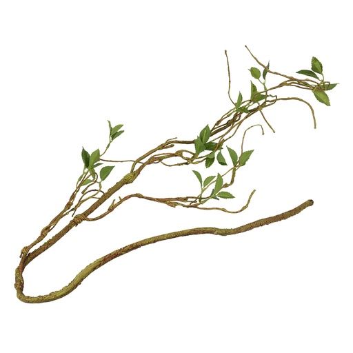 [236/469927] Plantentak dun [groen (Groen)]