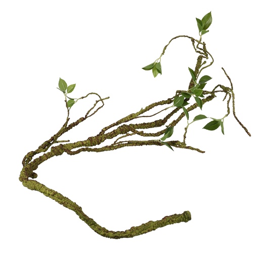 [236/469934] Plantentak dik [groen (Groen)]