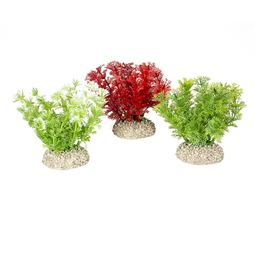 [242/457955] Plant hottonia [mixed colors (Multi)]