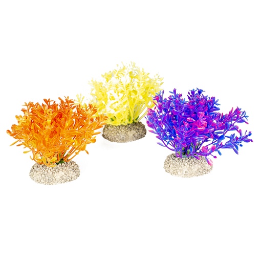[242/457993] Plant glosso [mixed colors (Multi)]