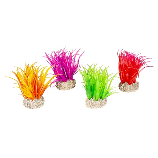 [242/458037] Plante hair grass [couleurs mélangées (Multi)]