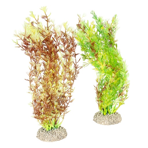 [242/458280] Plant Egeria Densa [gemengde kleuren (Multi)]