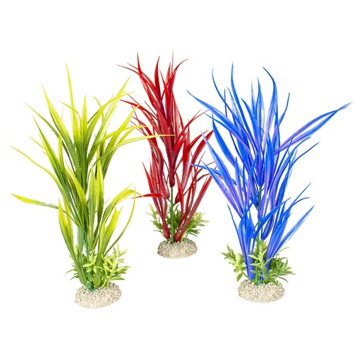 [242/458327] Plant Amazon Sword [gemengde kleuren (Multi)]