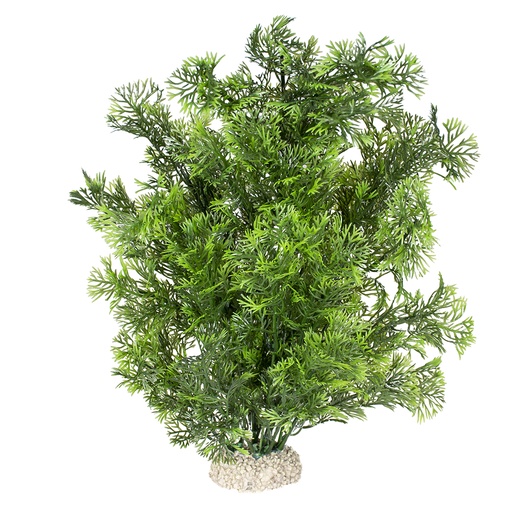 [242/458525] Plante phoenix [vert foncé (Vert)]