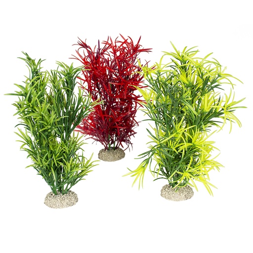 [242/458532] Plant Hydrilla [gemengde kleuren (Multi)]