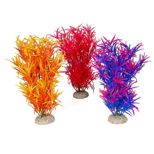 [242/458570] Plant hydrilla [mixed colors (Multi)]