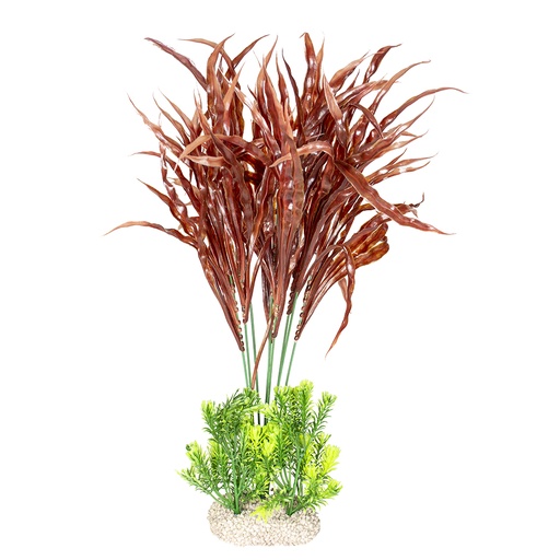 [242/458686] Plant Java Fern [gemengde kleuren (Multi)]