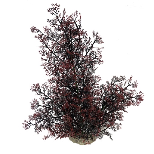 [242/468210] Phoenix [rot (Rot)]