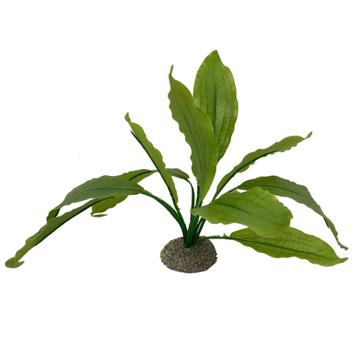 [242/468258] Echinodorus 2 [vert (Vert)]