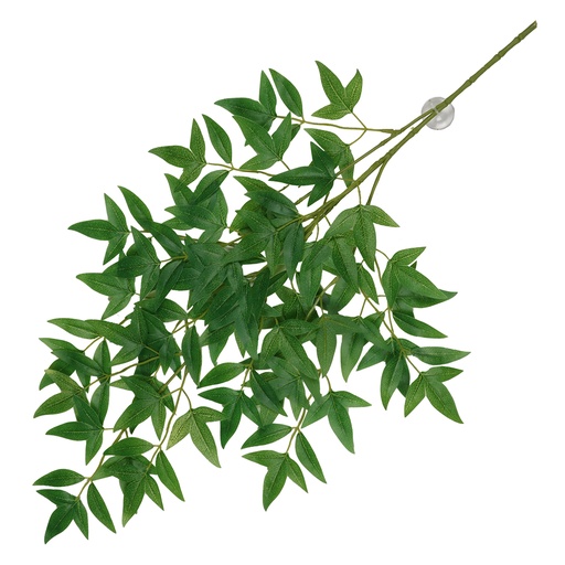 [243/470404] Hanging plant Nandina [green (Green)]