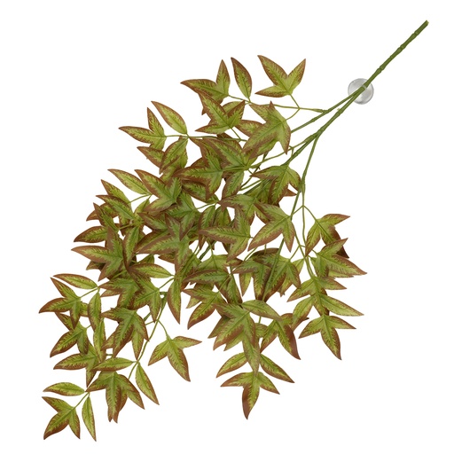 [243/470428] Plante suspendue Nandina [vert (Vert)]