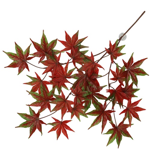 [243/470435] Hanging plant Cannabis [red (Red)]