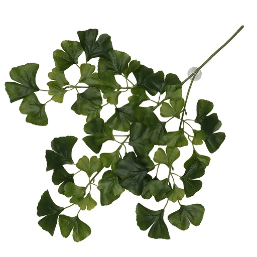 [243/470442] Hanging plant Ginko [dark green (Green)]