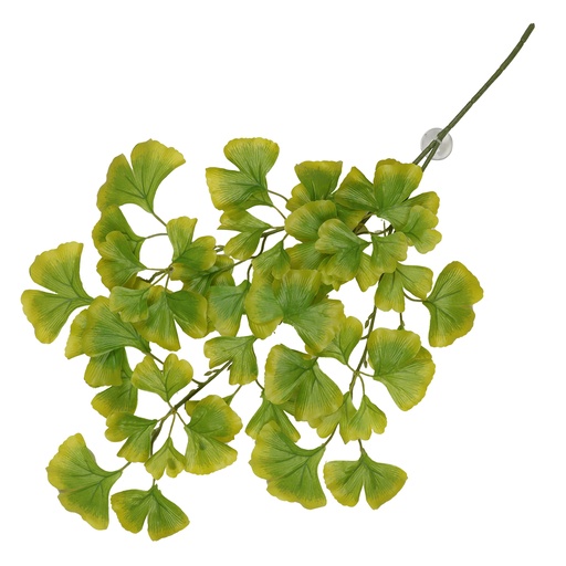 [243/470459] Plante suspendue Ginko [vert (Vert)]
