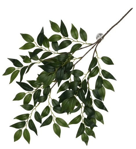 [243/470473] Hanging plant Banyan [green (Green)]