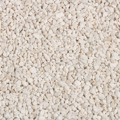 [257/449554] Aquariumgrind Coral