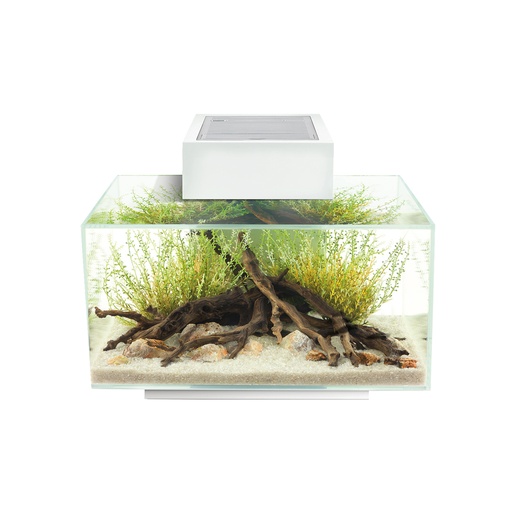 [33/15035] FLUVAL EDGE I 2.0 AQUARIUMKIT 23L [white (White)]