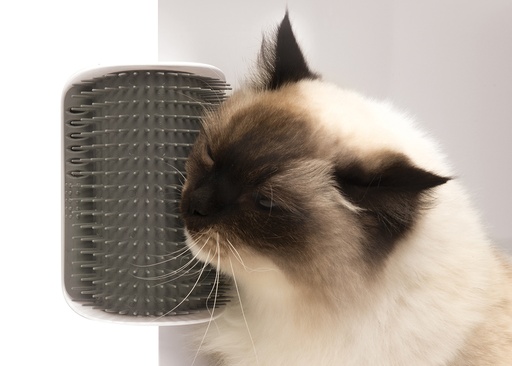 [33/43152W] CA 2.0 Massage-Ecke