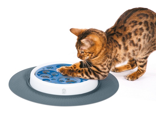 [33/50725] CA DESIGN SENSES SCRATCH PAD