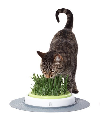 [33/50777] CA Design Senses navulling gras-kit