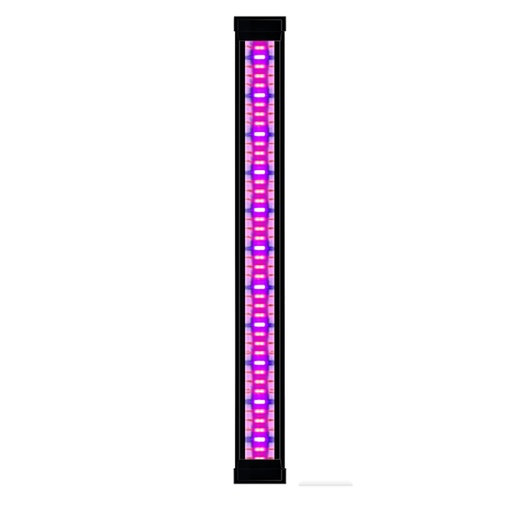 [77702731] led plants emotions CLE 60 [black (Black)]