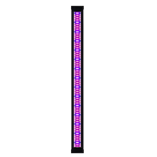 [77702748] led plants emotions CLE 80 [noir (Noir)]