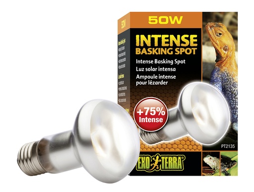 [33/PT2135] EX intense basking spot lamp