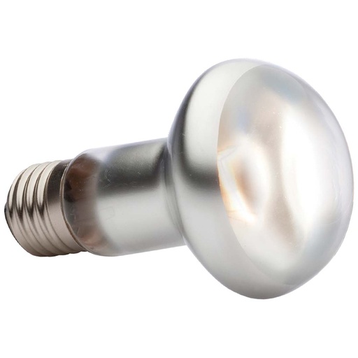 [33/PT2136] EX intense basking spot lamp