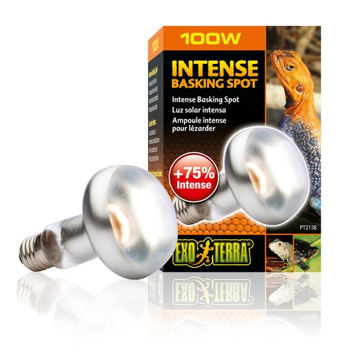 [33/PT2138] EX intense basking spot lamp