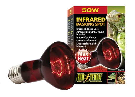 [33/PT2141] EX lampe infrared basking spot