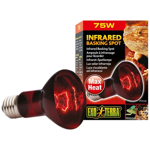 [33/PT2142] EX lampe infrared basking spot