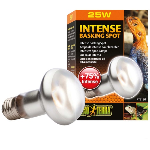 [33/PT2196] EX intense basking spot lamp
