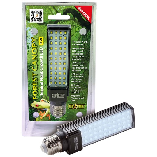 [33/PT2411] EX Forest Canopy LED