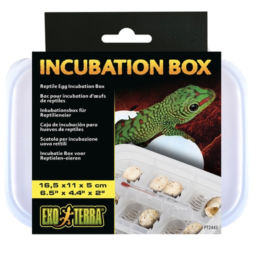 [33/PT2443] EX reptile egg incubation box