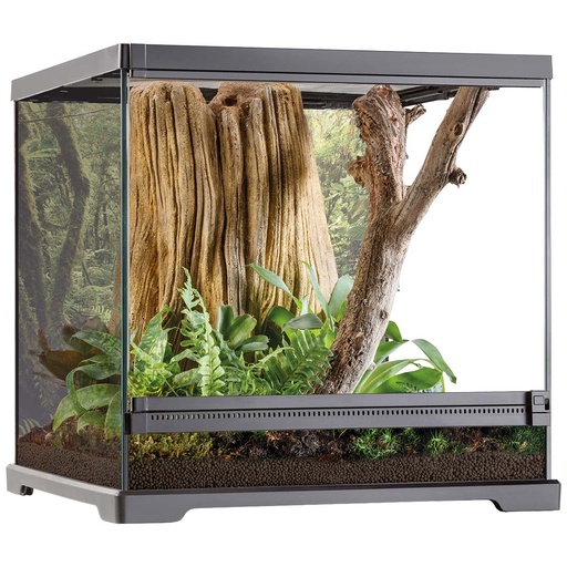 [33/PT2745] EX frog dart frog terrarium [black (Black)]