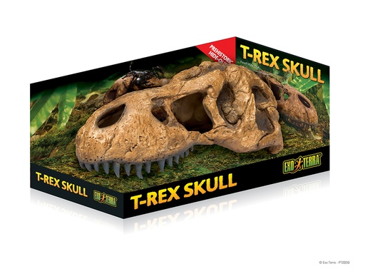 [33/PT2859] EX t-rex skull abri fossile