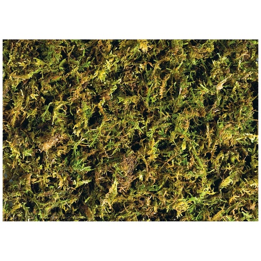 [33/PT3095] EX forest moss trop. terrarium substr. 2-pack