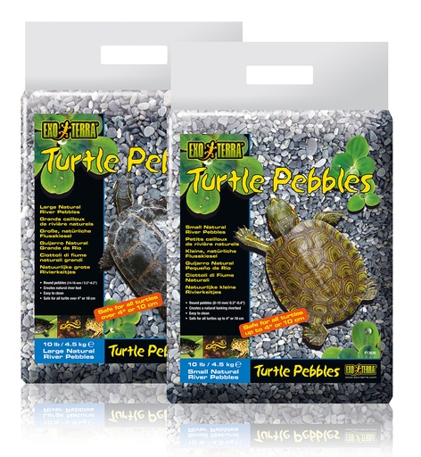 [33/PT3830] EX Turtle FLusskiesel