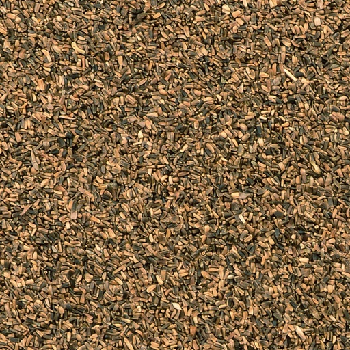 [355] Chicory seed