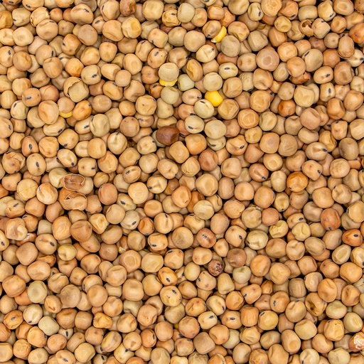 [372] Dunpeas
