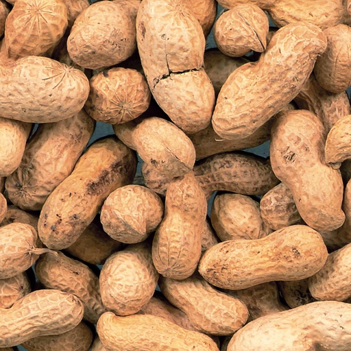 [423] Peanuts unpeeLED